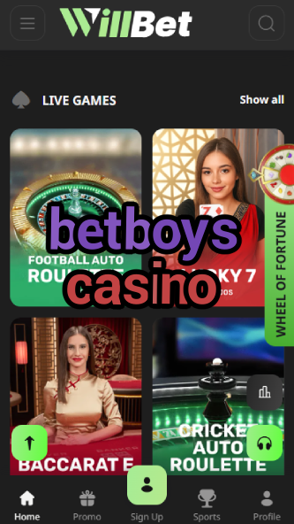 Betboys Casino - Male-Friendly Casino-www.bdqngd.com